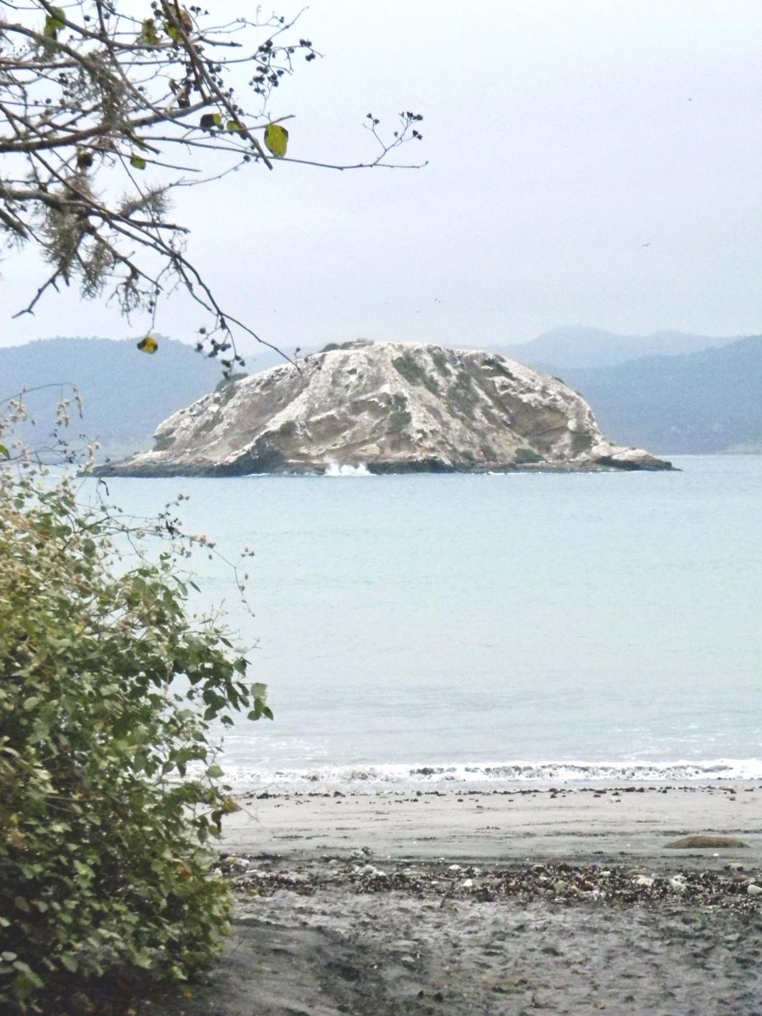 Hospedaje Algarrobo Machalilla Exteriör bild