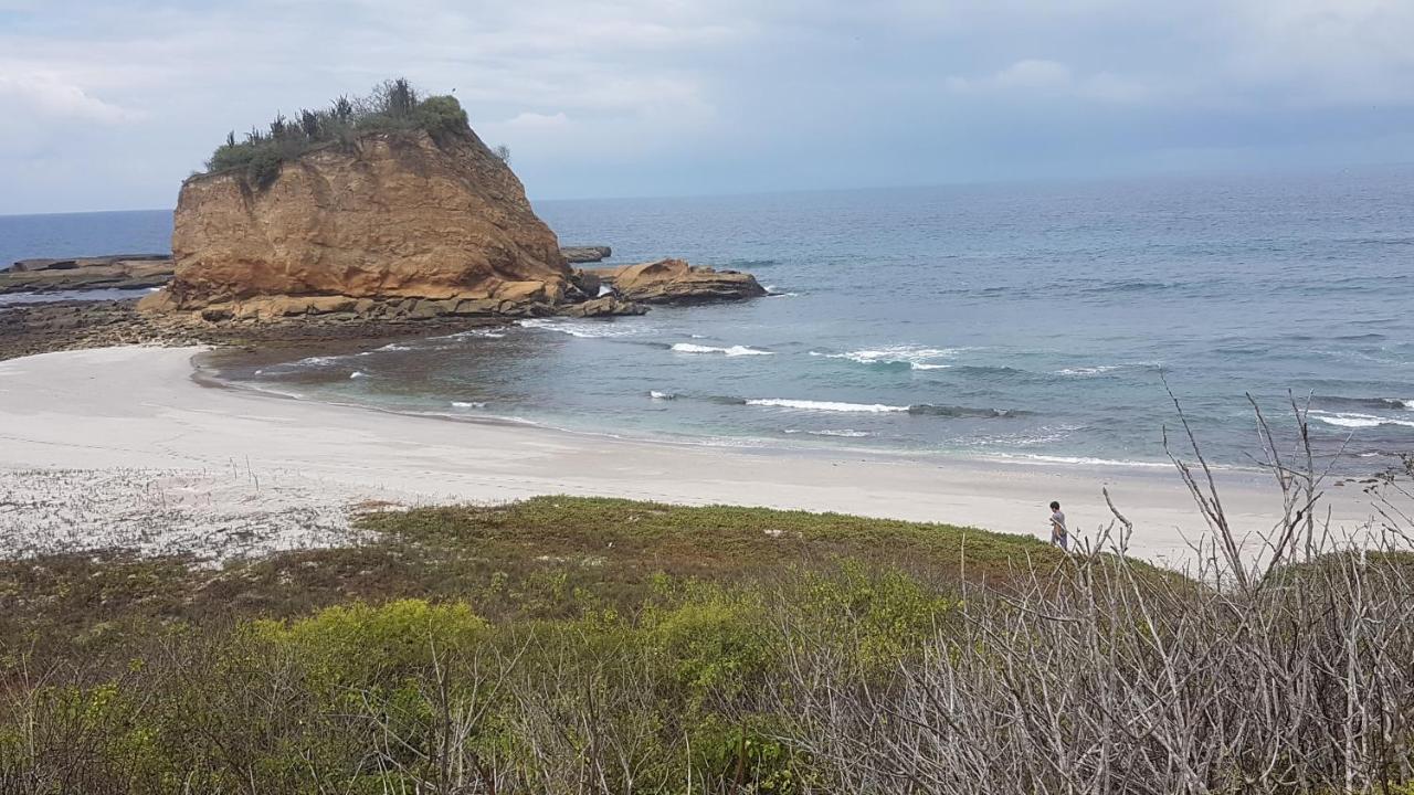 Hospedaje Algarrobo Machalilla Exteriör bild